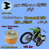 Kawasaki 250 _ MEHRO FILTER