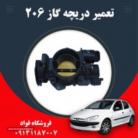 تعمیر دریچه گاز 206 در اصفهان