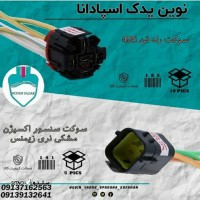 قیمت / فروش سوکت رله فن 405 در اصفهان