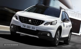 60ec6336-455e-4b80-ace5-a1c797989184