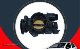 تعمیر دریچه گاز206