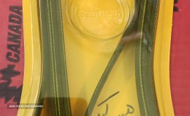 16627906766143789989802783498989