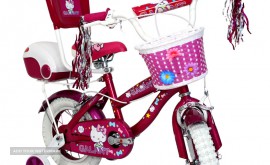 خرید و فروش انواع دوچرخه بچگانه