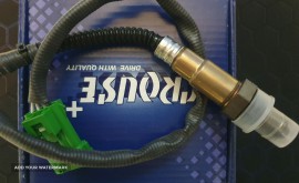 IMG_20221120_181115_158