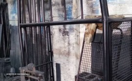 ساخت باربند پراید وانت