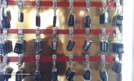 16705675265248606635459586829769