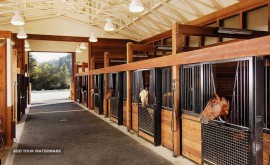 هزینه نگهداری در پانسیون اسب خمینی شهر اصفهان