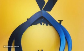 زه دور بدنه استتپ