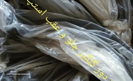 IMG_۲۰۲۰۰۲۰۲_۱۷۰۷۲۵