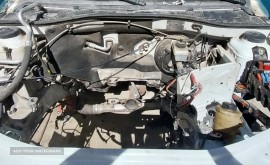 PicsArt_03-06-12.50.05