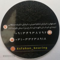 فروش تسمه تایم رایکا آلتون پاور گریپ رایکو در اصفهان