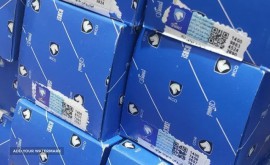 photo_۲۰۲۳-۰۵-۰۷_۱۲-۱۶-۰۷