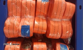 IMG_۲۰۲۳۱۰۱۸_۱۲۳۴۰۴