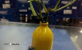 IMG_20231119_185439_358