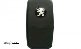 تعمیر-ریموت-خودرو-پژو-405