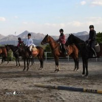هزینه و قیمت آموزش سوارکاری از مبتدی تا حرفه ای-در-اصفهان - خمینی شهر
