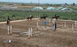 آموزش سوارکاری از مبتدی تا حرفه ای در خمینی شهر اصفهان