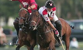 هزینه آموزش چوگان از مبتدی تا حرفه ای در خمینی شهر اصفهان