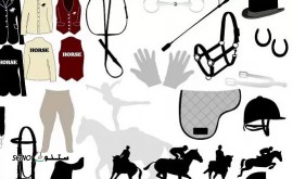 فروش آنلاین لوازم اسب سواری