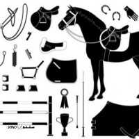 خرید آنلاین لوازم اسب سواری- در خمینی شهر