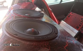 میدرنج های خوش صدای ds18