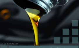 پارس پاسارگاد نقش جهان