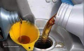 پارس پاسارگاد نقش جهان