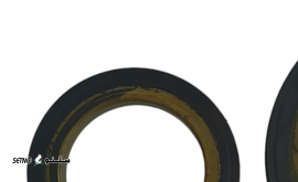 IMG_۲۰۲۴۰۵۱۱_۲۰۲۱۳۲