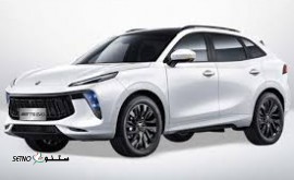 واردات لاماری ایما LAMARI EAMA/ تهران /امین تجارت