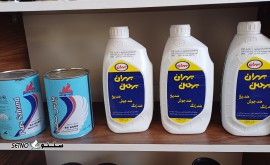 17309669882152724576892548390884