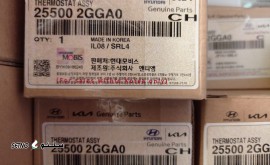 09a0c987-3650-4952-b1d7-169b8d96f2cc