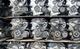 IMG_20250125_160858_302