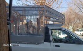 هزینه ساخت باربند مسقف پراید وانت / اصفهان / خیابان کهندژ