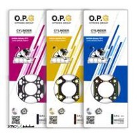 P310X207_379556980012