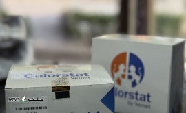 فروش ترموستات fh13 / fm9 فرانسه ۷۶ و ۸۲ درجه برند ورنت / اصفهان