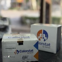 فروش ترموستات fh13 / fm9 فرانسه ۷۶ و ۸۲ درجه برند ورنت / اصفهان