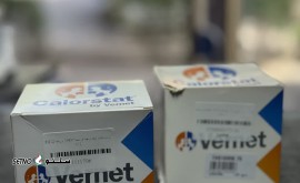 فروش ترموستات fh12 / f12 ولوو 76 و ۸۲ درجه برند ورنت فرانسه / شاهپور جدید / اصفهان