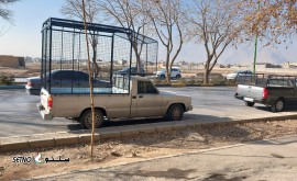 ۲۰۲۴۱۲۲۲_۱۴۱۰۱۴