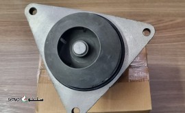 IMG_20250629_163131_739