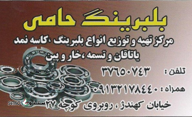 @بلبرینگ حامی