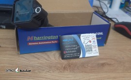 17554073241784571873348086406437