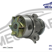 مغری واتر پمپ 110-1
