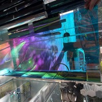 003252BA-CAF1-40BE-B516-26AE3181CD8D