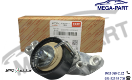 سفت کن تایم x22