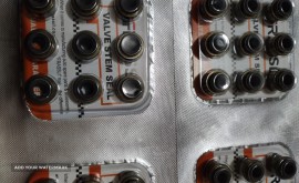 IMG_۲۰۲۱۰۹۰۹_۲۲۱۸۱۴