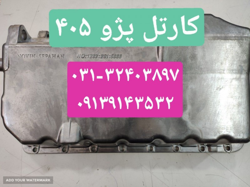 کارتل پژو ۴۰۵ تهران