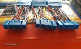 ۲۰۲۱۰۹۲۱_۱۷۳۲۲۹